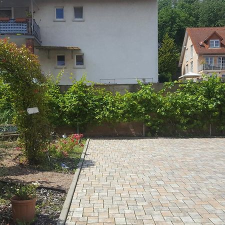 Villa Renatus 美因河畔奥伯恩堡 外观 照片